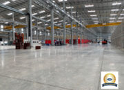 created by photogrid