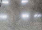 created by photogrid